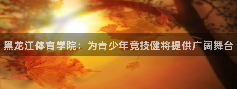 德国3377体育官方正版app集团:黑龙江体育学院:为青少年