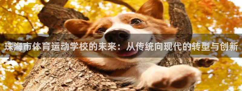 3377体育官网下载招商电话是多少号码:珠海市体育运动学校的