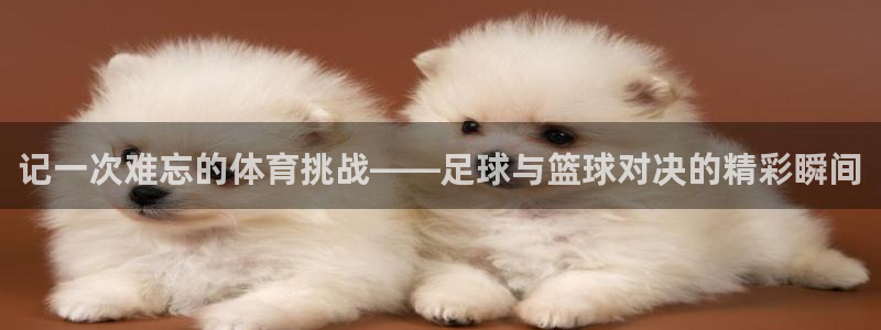 3377体育官方正版app集团官网首页网址:记一次难忘的体育